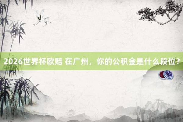 2026世界杯欧赔 在广州，你的公积金是什么段位？