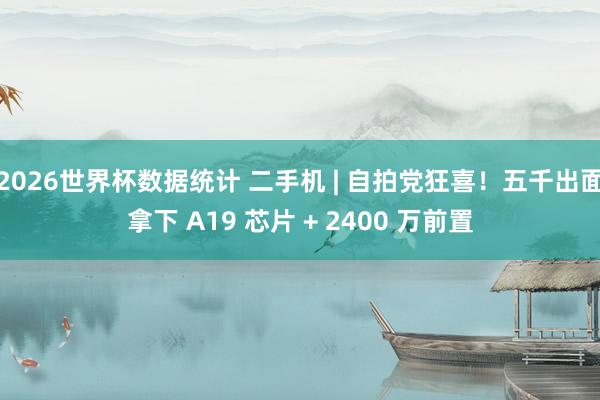 2026世界杯数据统计 二手机 | 自拍党狂喜！五千出面拿下 A19 芯片 + 2400 万前置