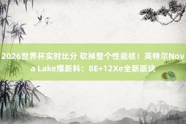 2026世界杯实时比分 砍掉整个性能核！英特尔Nova Lake爆新料：8E+12Xe全新版块
