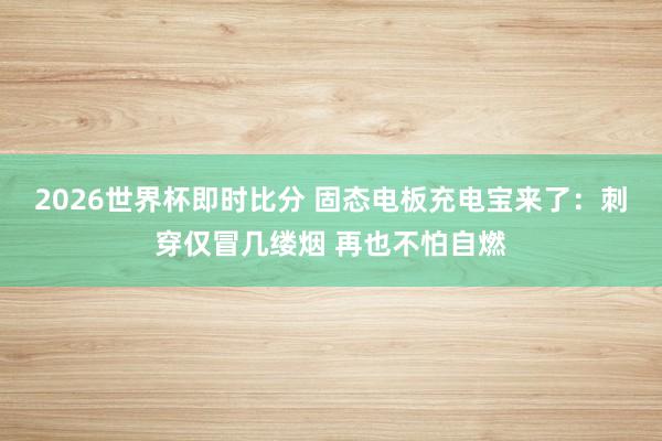 2026世界杯即时比分 固态电板充电宝来了：刺穿仅冒几缕烟 再也不怕自燃
