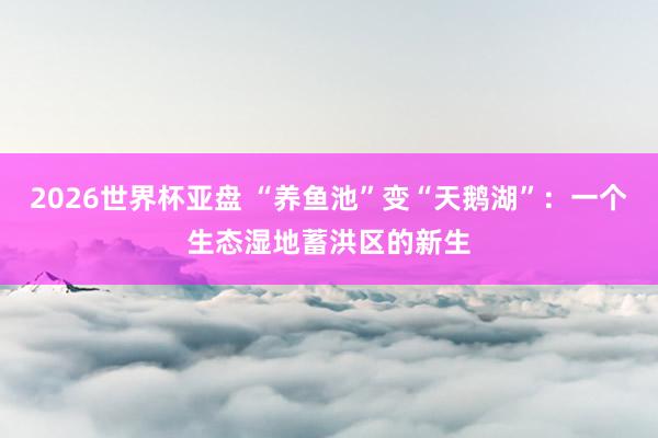 2026世界杯亚盘 “养鱼池”变“天鹅湖”：一个生态湿地蓄洪区的新生
