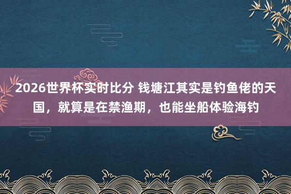 2026世界杯实时比分 钱塘江其实是钓鱼佬的天国，就算是在禁渔期，也能坐船体验海钓