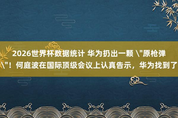 2026世界杯数据统计 华为扔出一颗 