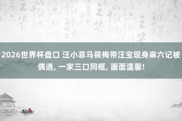 2026世界杯盘口 汪小菲马筱梅带汪宝现身麻六记被偶遇, 一家三口同框, 画面温馨!