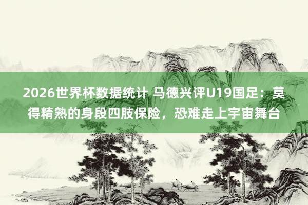 2026世界杯数据统计 马德兴评U19国足：莫得精熟的身段四肢保险，恐难走上宇宙舞台