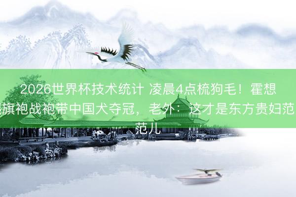 2026世界杯技术统计 凌晨4点梳狗毛！霍想燕旗袍战袍带中国犬夺冠，老外：这才是东方贵妇范儿