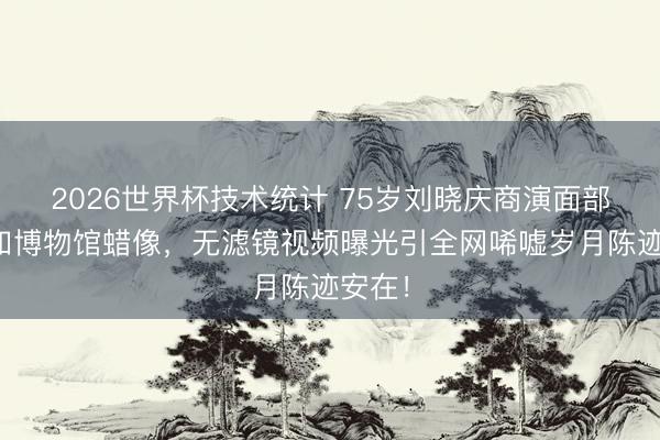 2026世界杯技术统计 75岁刘晓庆商演面部僵硬如博物馆蜡像，无滤镜视频曝光引全网唏嘘岁月陈迹安在！